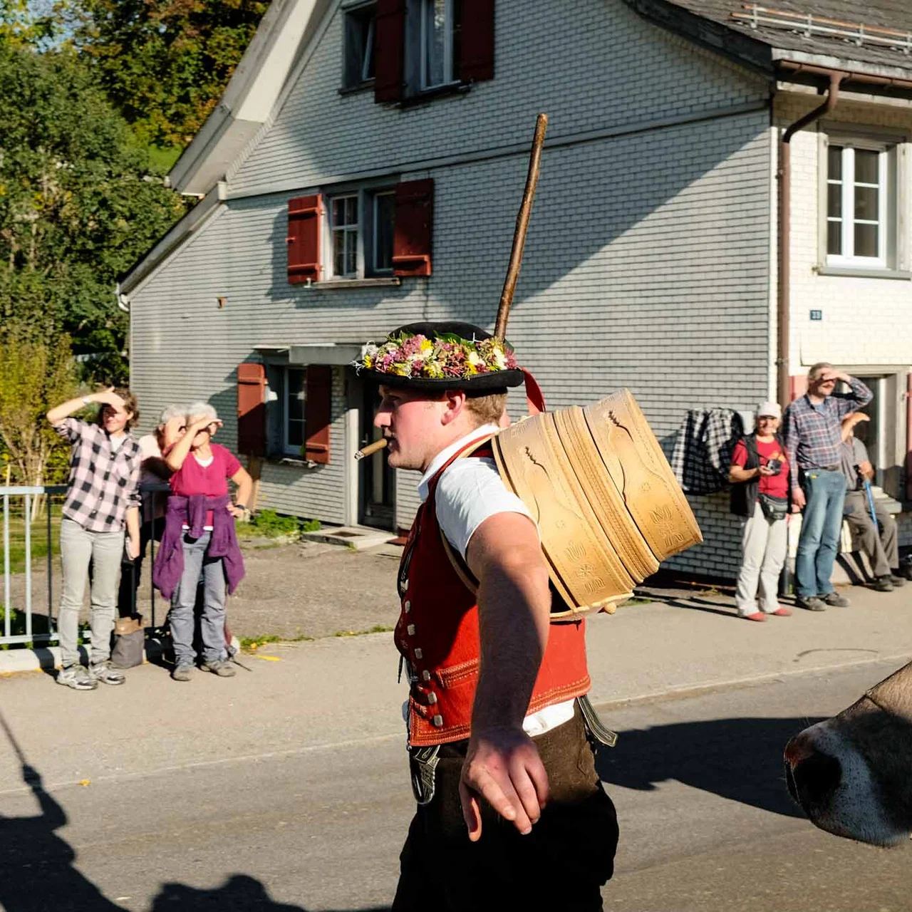 2022 Toggenburg Viehschau Archiv – Foto 6