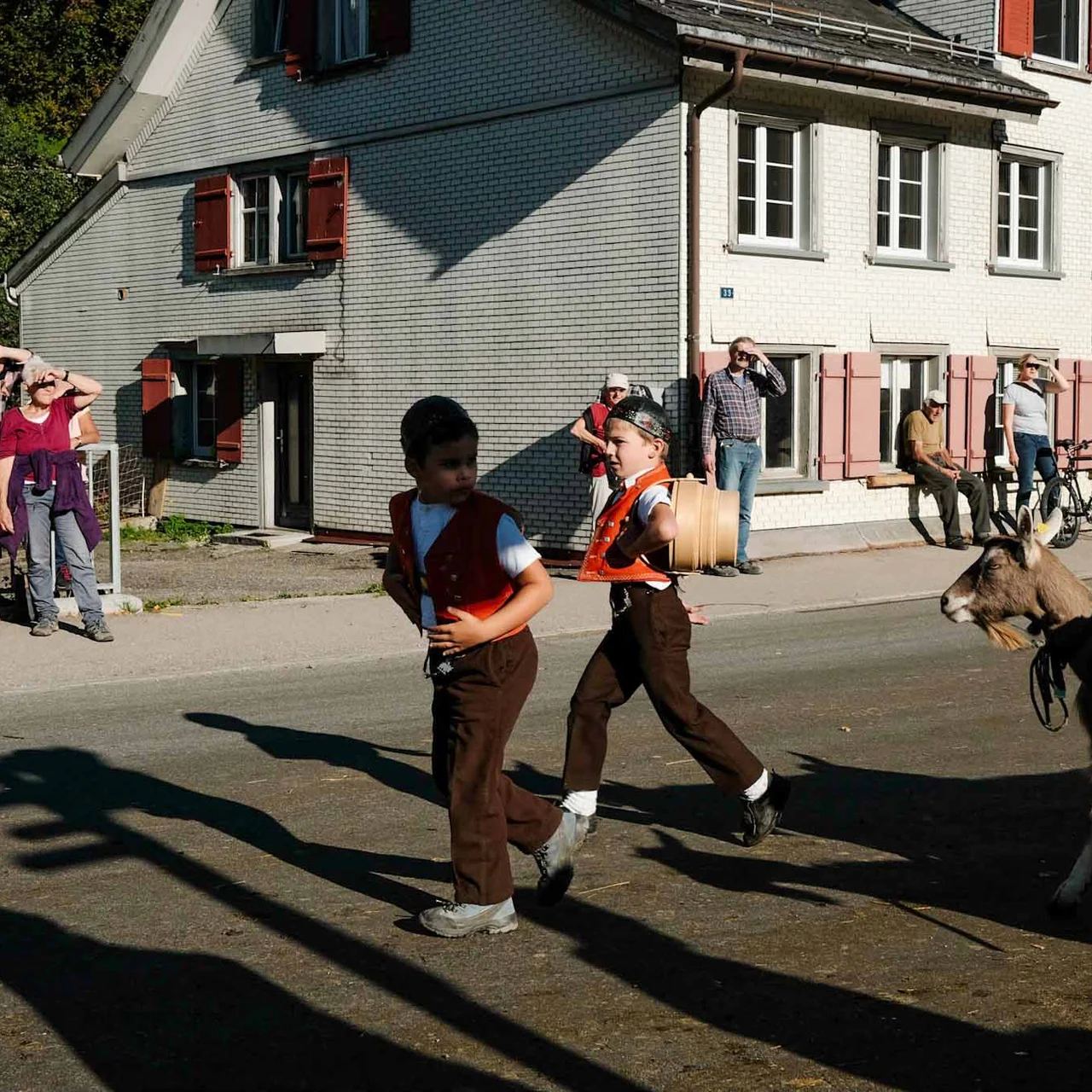 2022 Toggenburg Viehschau Archiv – Foto 10