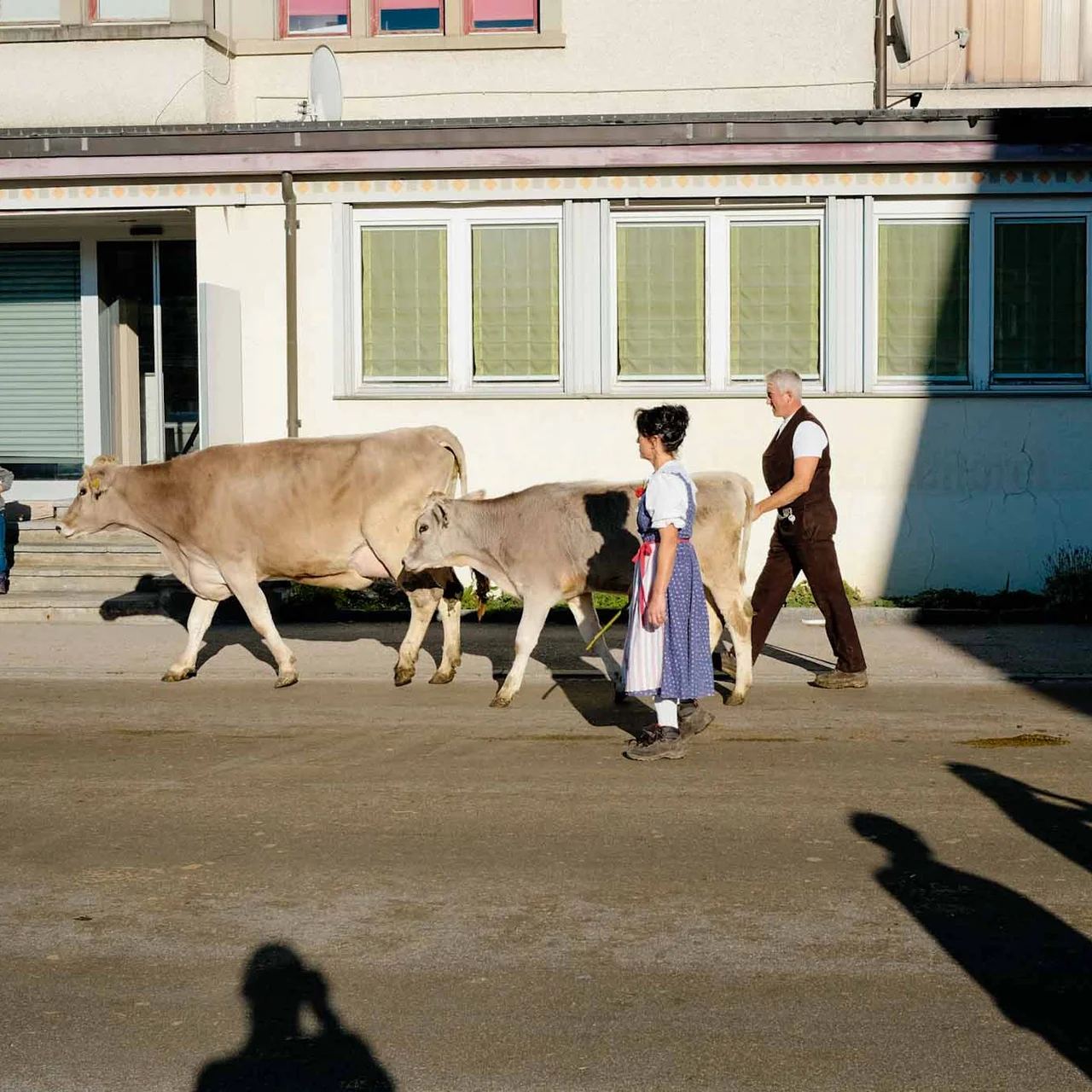 2022 Toggenburg Viehschau Archiv – Foto 18