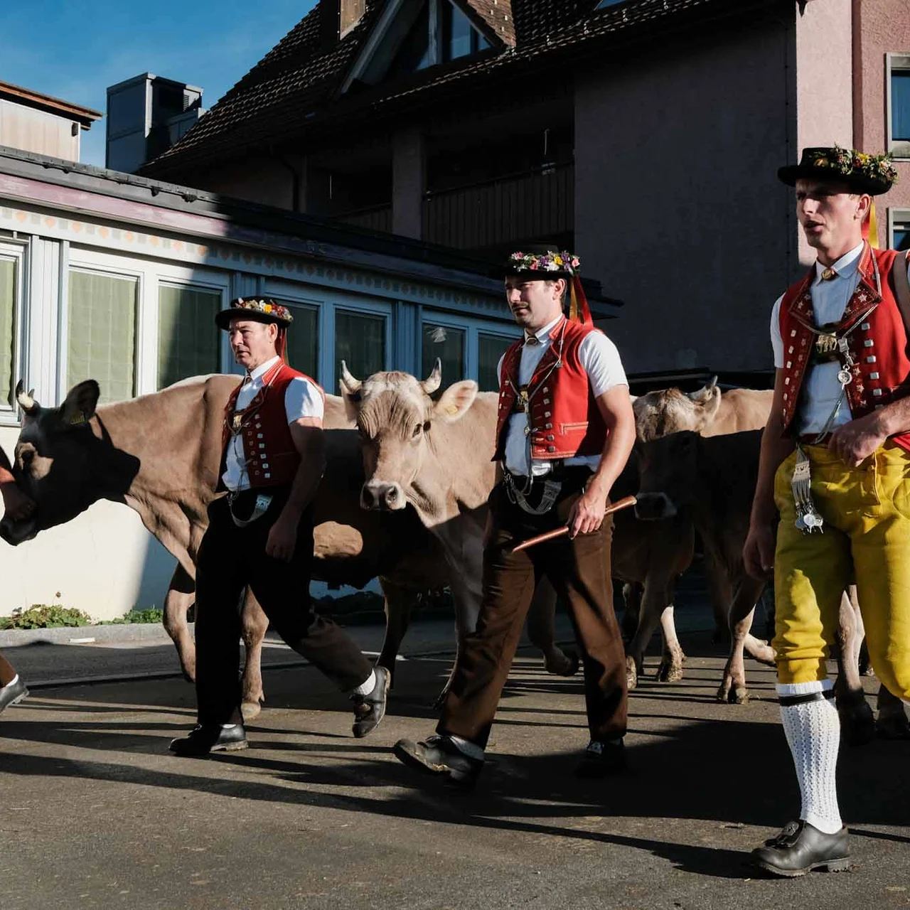 2022 Toggenburg Viehschau Archiv – Foto 25