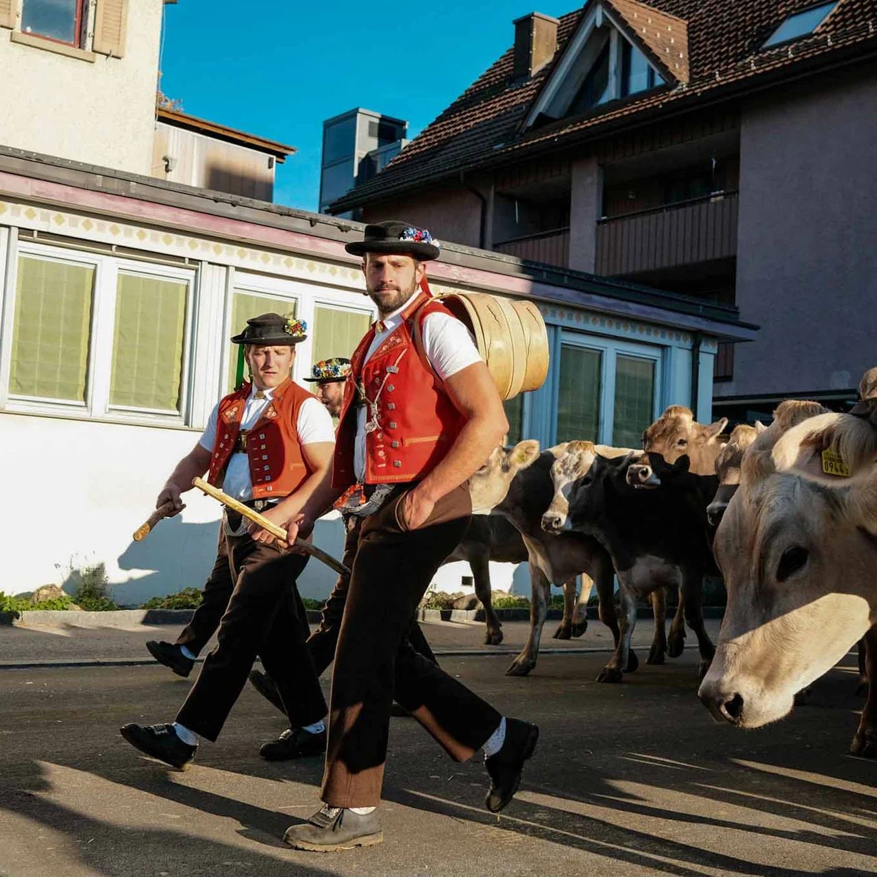 2022 Toggenburg Viehschau Archiv – Foto 29