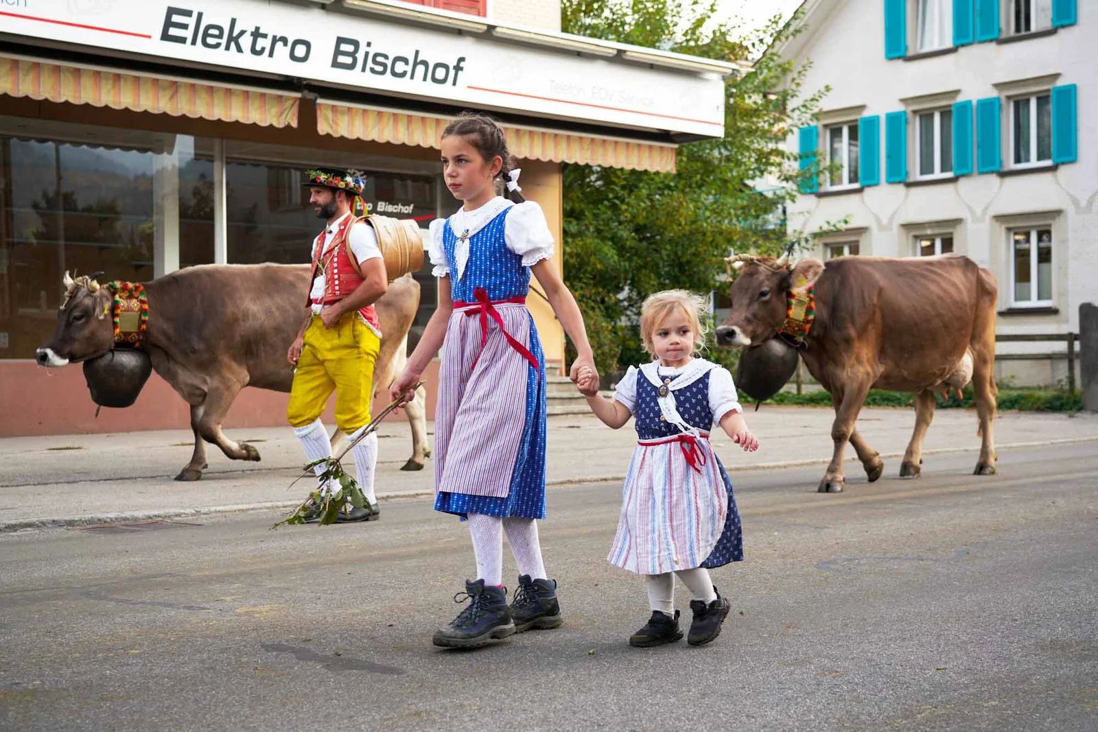 2023 Toggenburg Viehschau Archiv – Foto 10