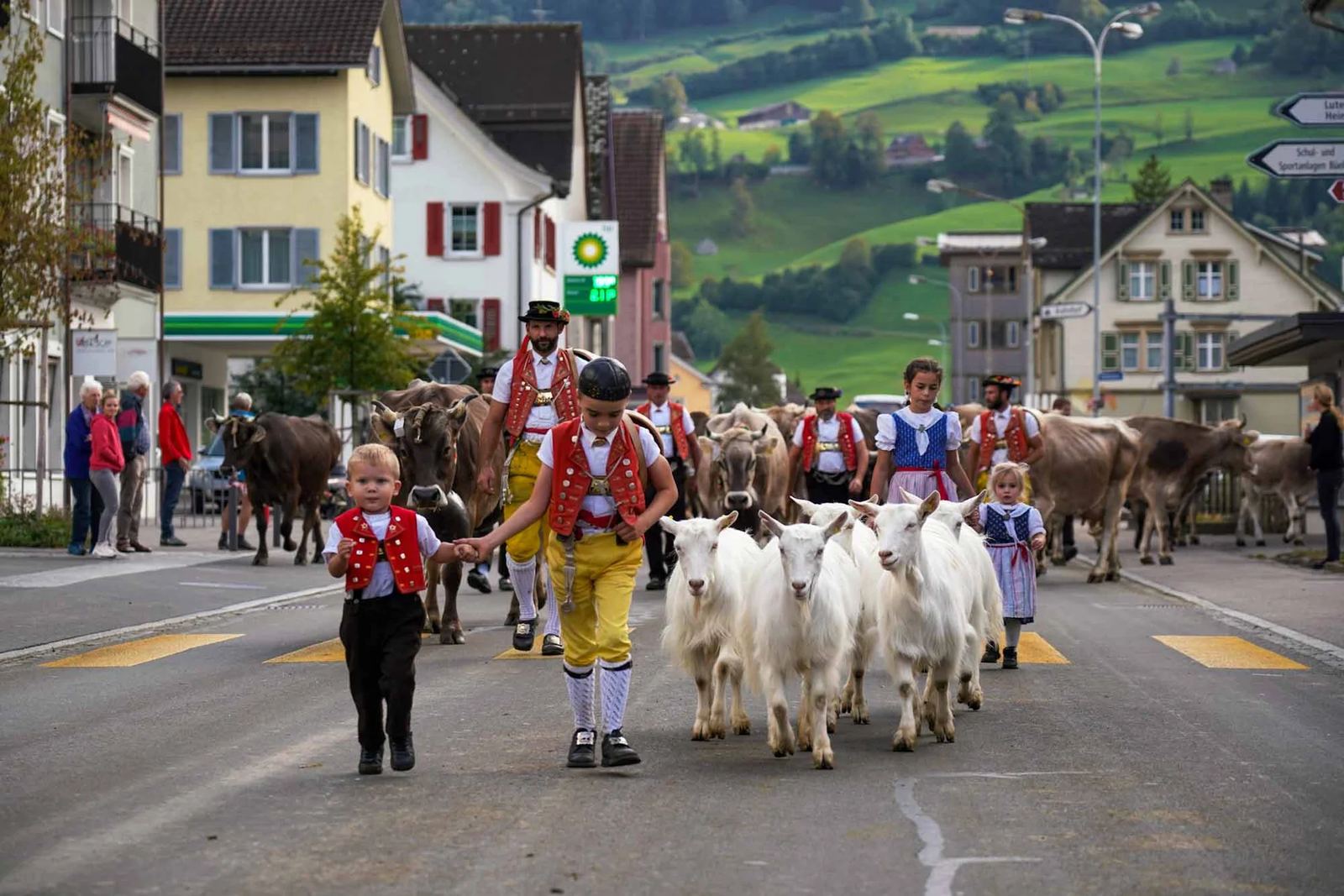 2023 Toggenburg Viehschau Archiv – Foto 13