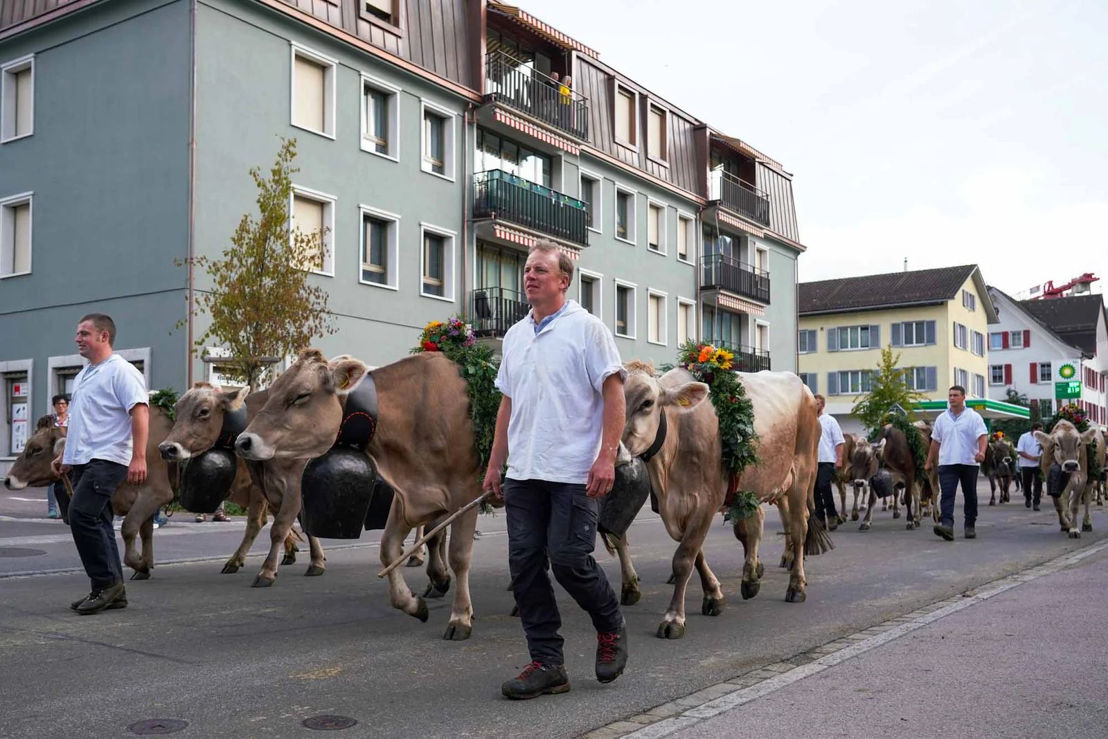 2023 Toggenburg Viehschau Archiv – Foto 14