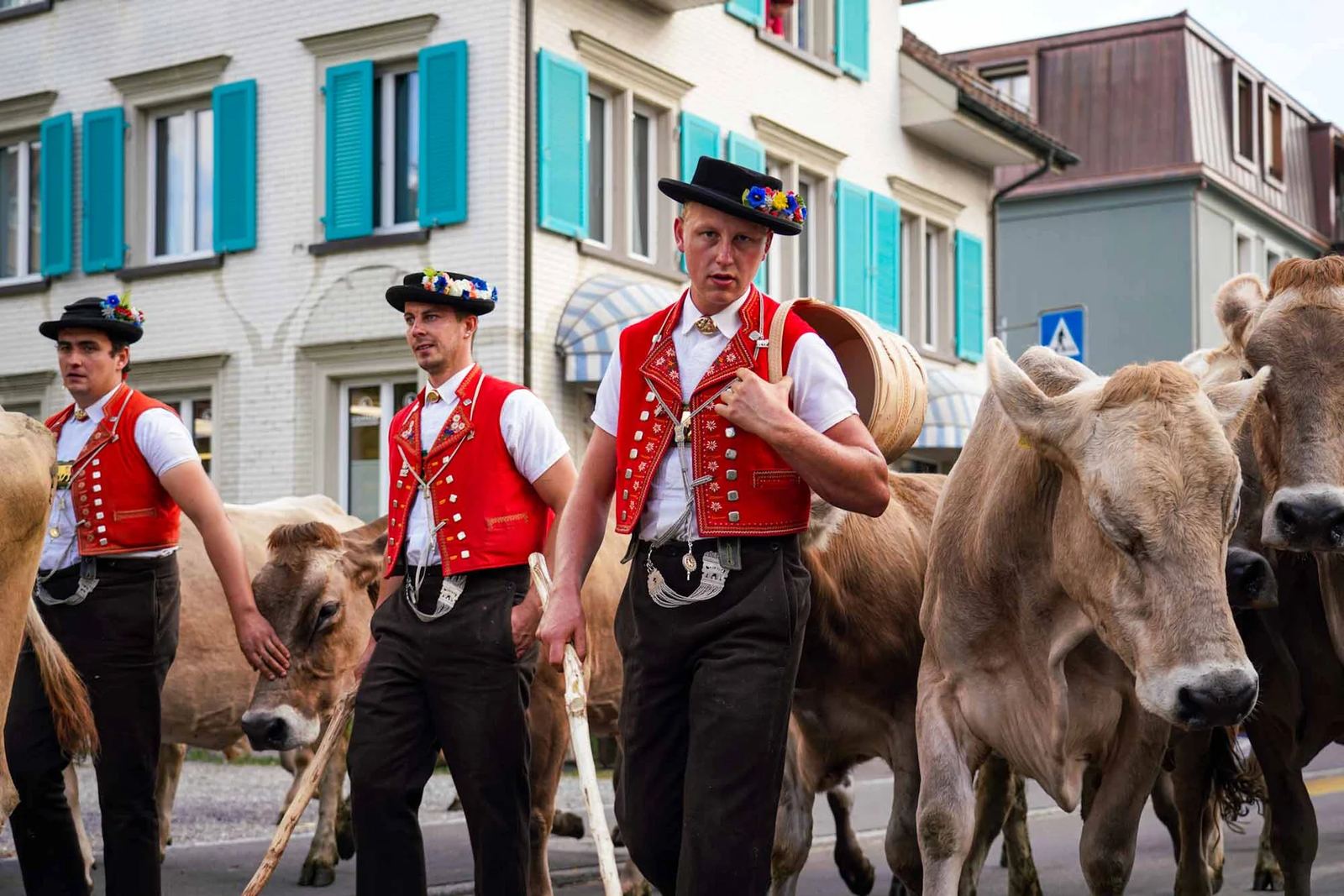 2023 Toggenburg Viehschau Archiv – Foto 16