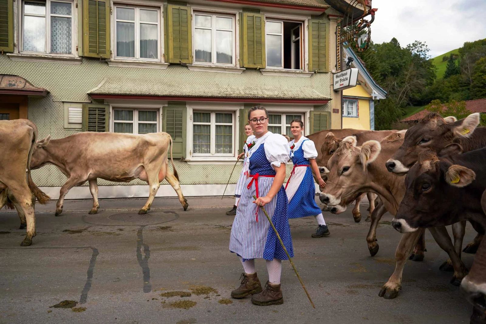 2023 Toggenburg Viehschau Archiv – Foto 25