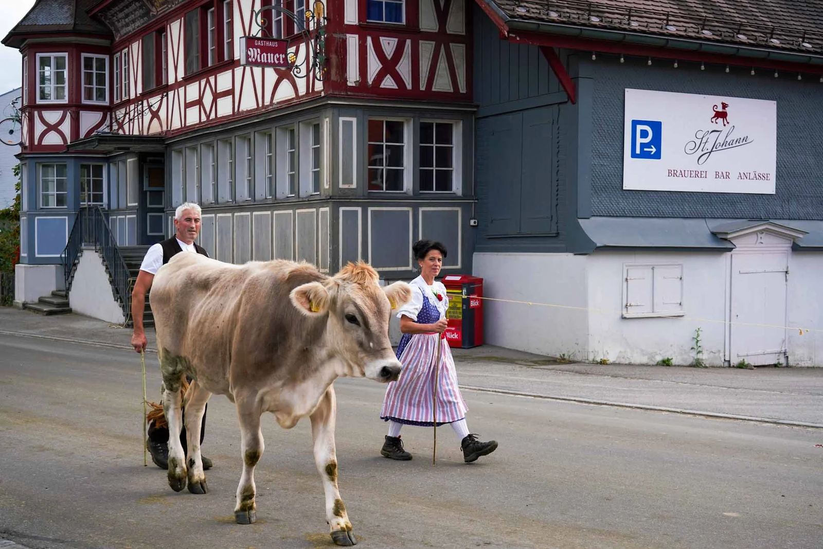 2023 Toggenburg Viehschau Archiv – Foto 26