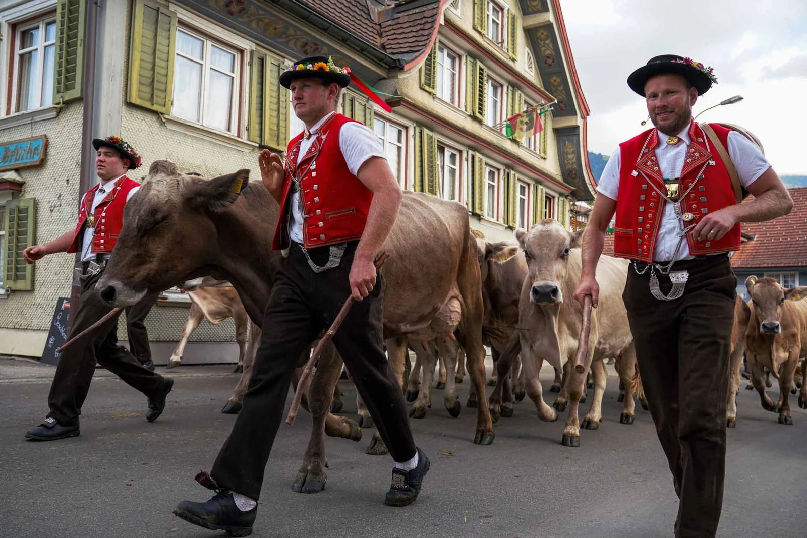 2023 Toggenburg Viehschau Archiv – Foto 27