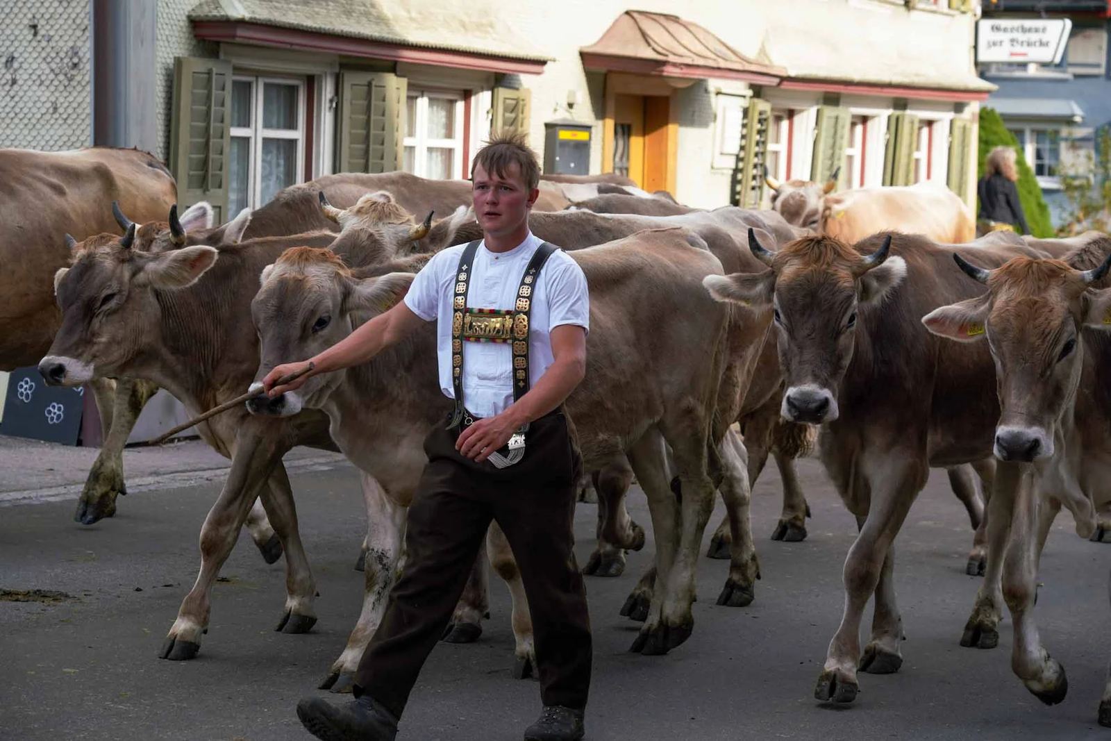 2023 Toggenburg Viehschau Archiv – Foto 29