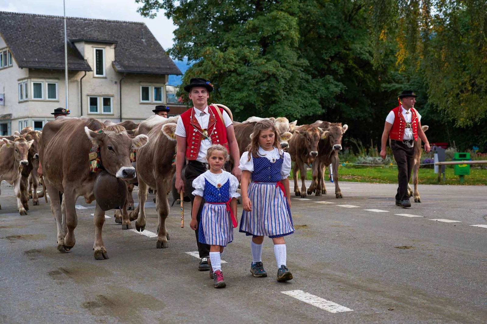 2023 Toggenburg Viehschau Archiv – Foto 34