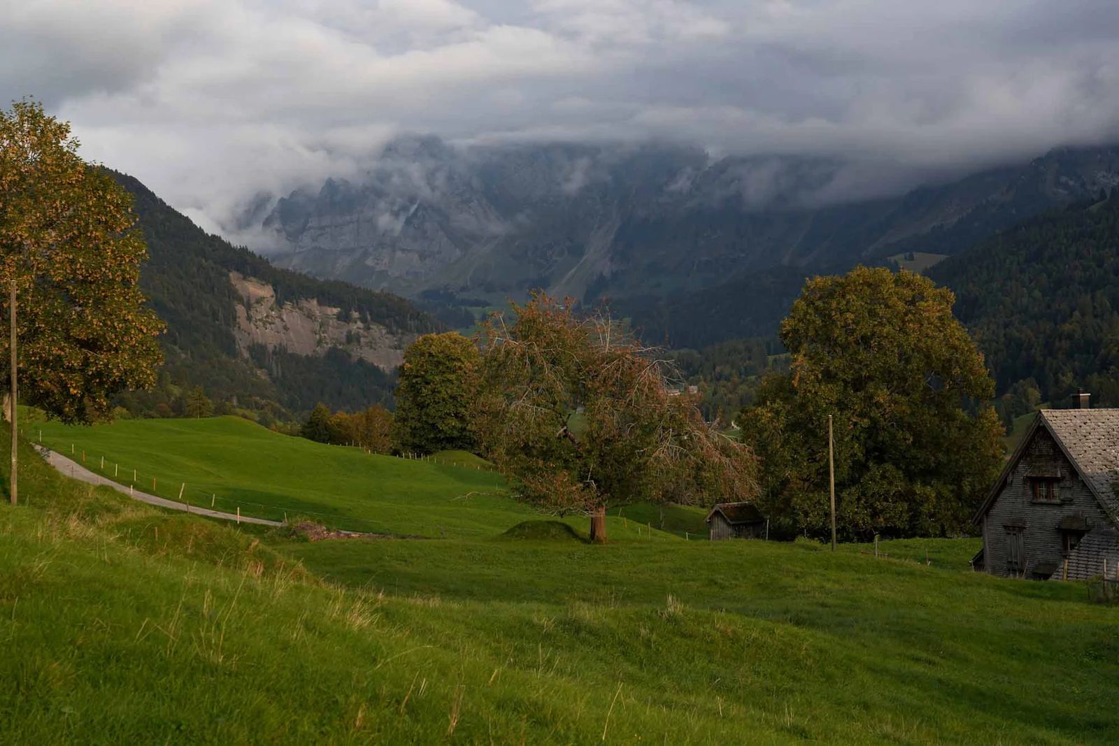 2023 Toggenburg Viehschau Archiv – Foto 38