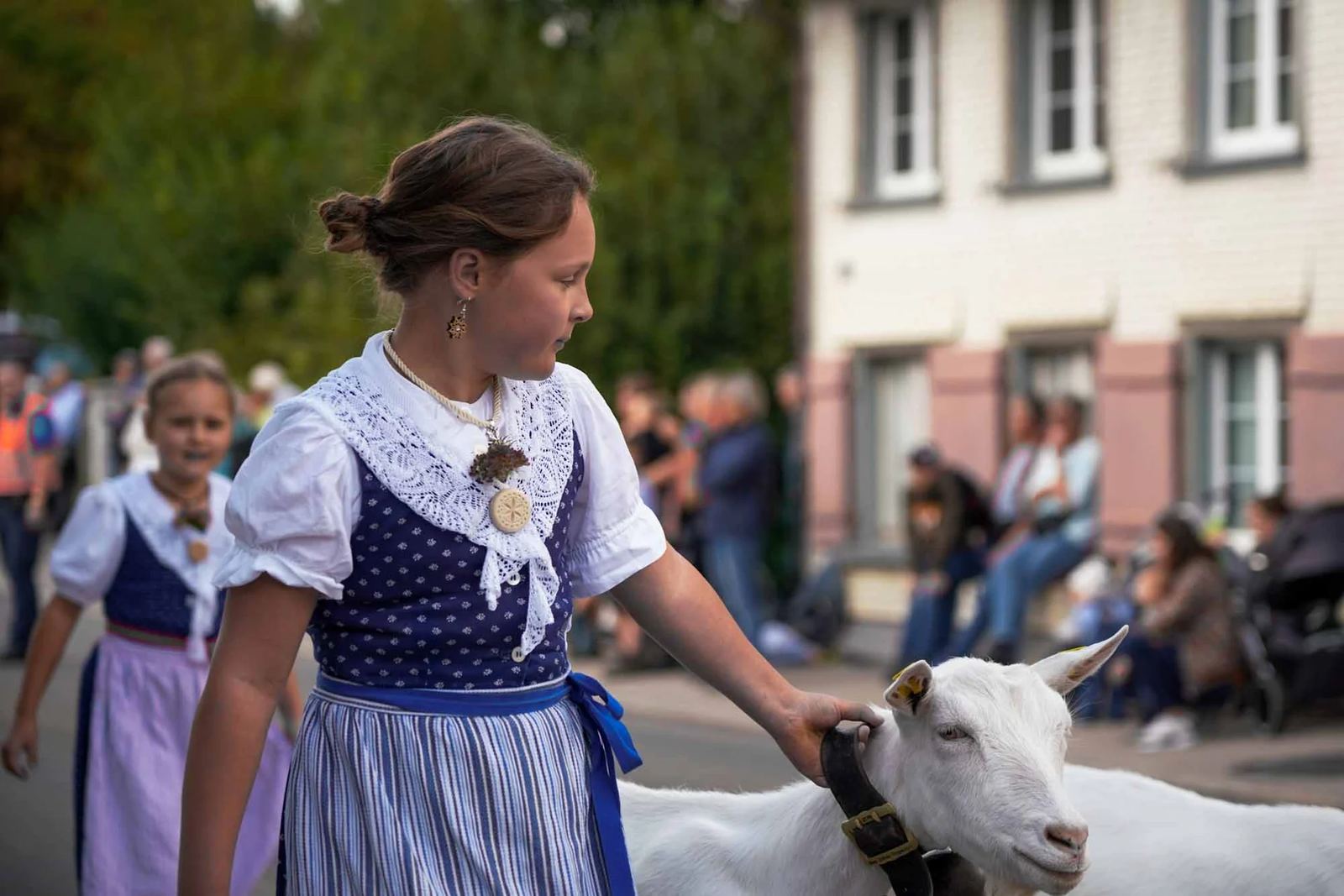 2023 Toggenburg Viehschau Archiv – Foto 47