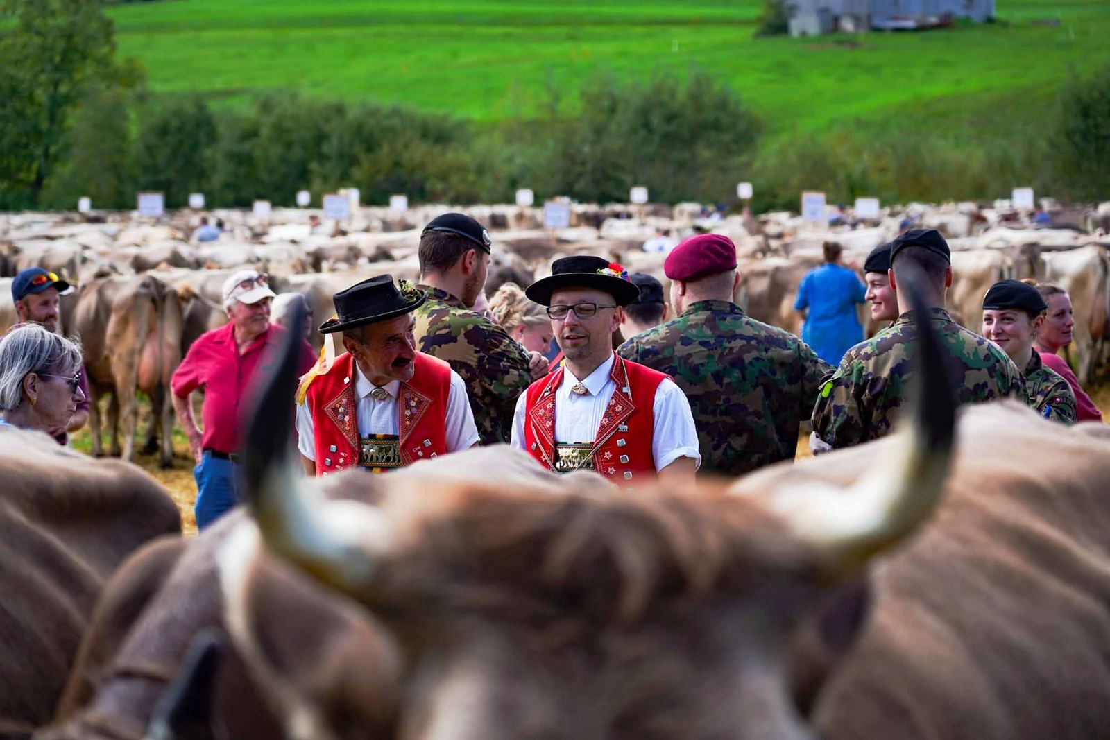 2023 Toggenburg Viehschau Archiv – Foto 50