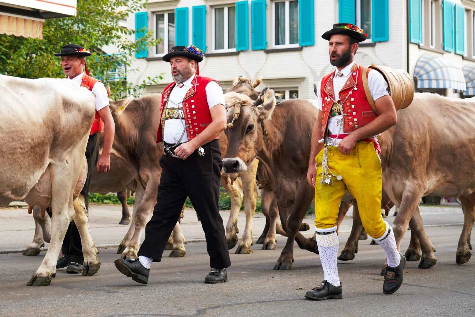 2023 Toggenburg Viehschau Archiv – Foto 51