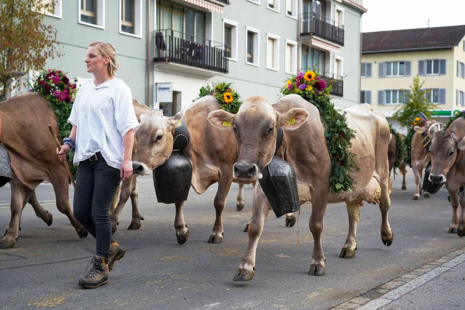 2023 Toggenburg Viehschau Archiv – Foto 52