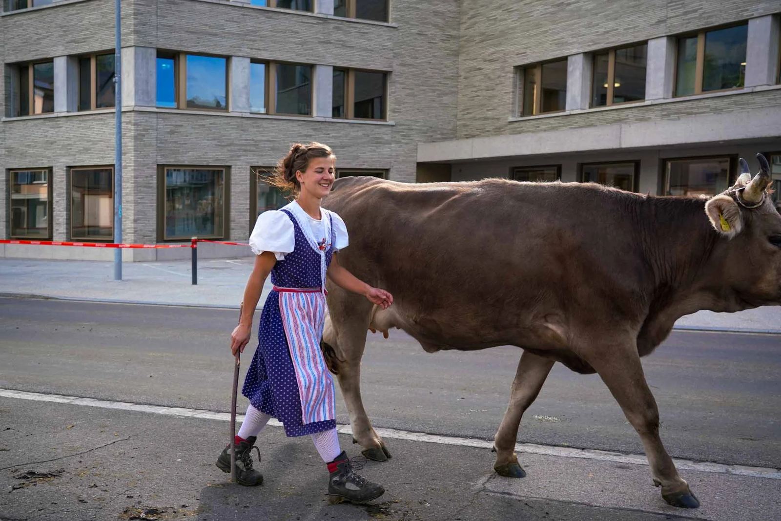 2023 Toggenburg Viehschau Archiv – Foto 56