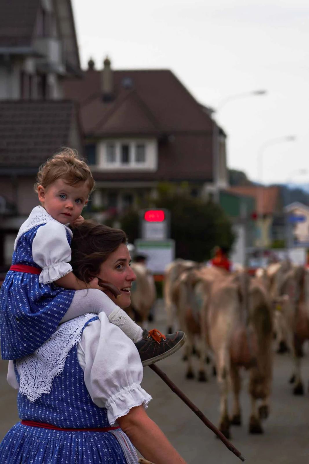 2023 Toggenburg Viehschau Archiv – Foto 73