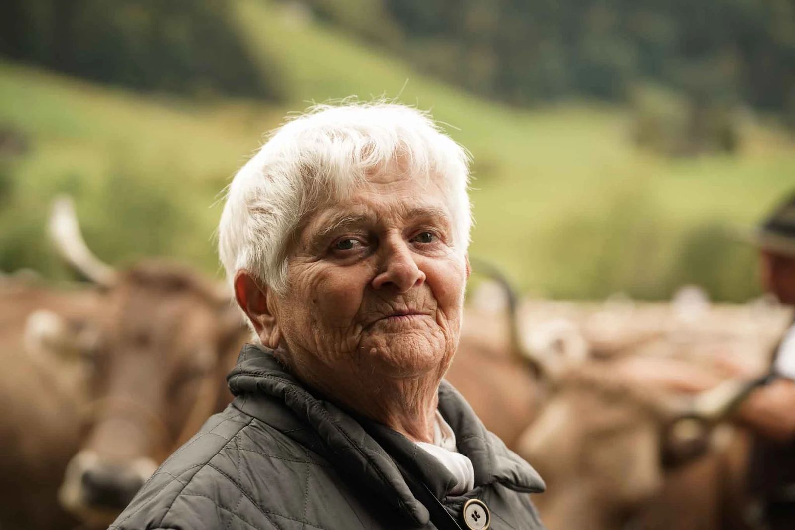 2024 Toggenburg Viehschau Archiv – Foto 8