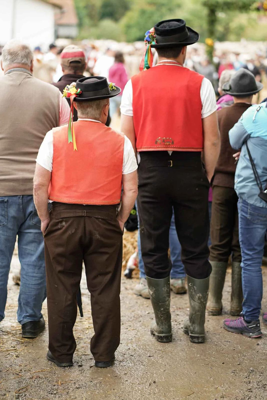 2024 Toggenburg Viehschau Archiv – Foto 10