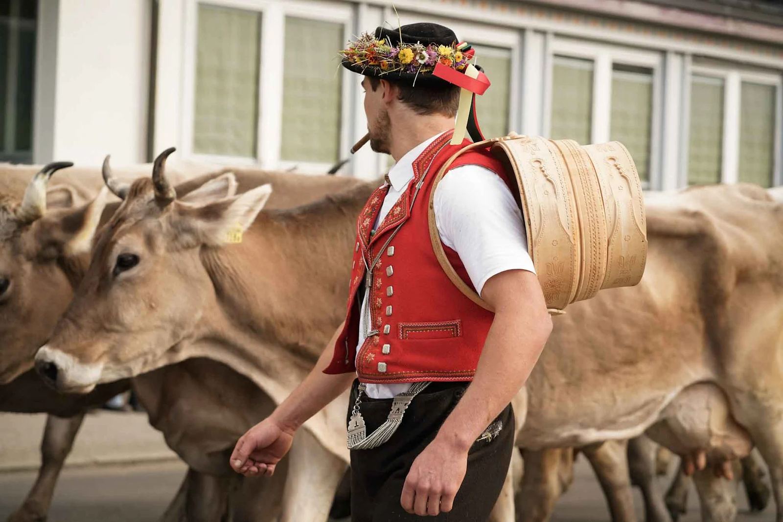 2024 Toggenburg Viehschau Archiv – Foto 29