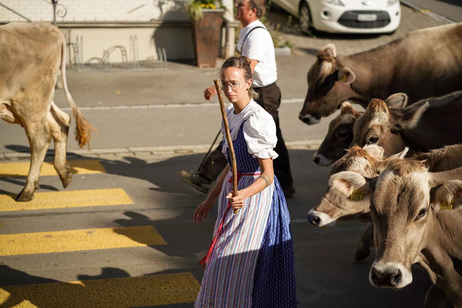 2024 Toggenburg Viehschau Archiv – Foto 49