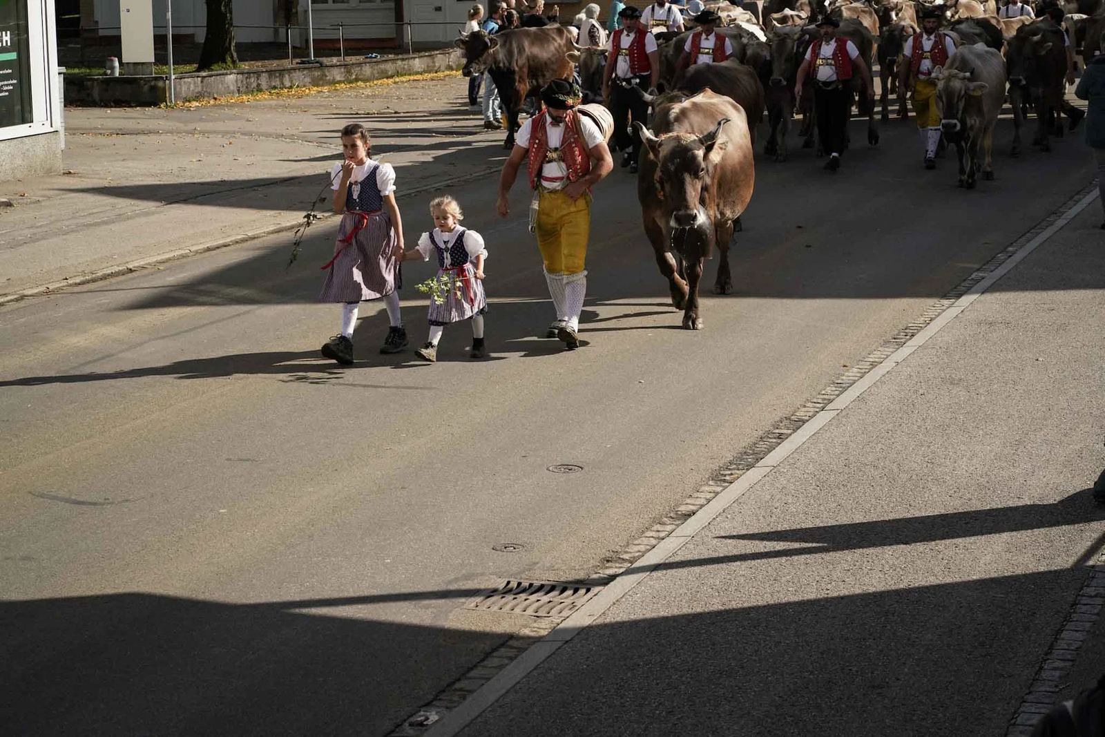 2024 Toggenburg Viehschau Archiv – Foto 53