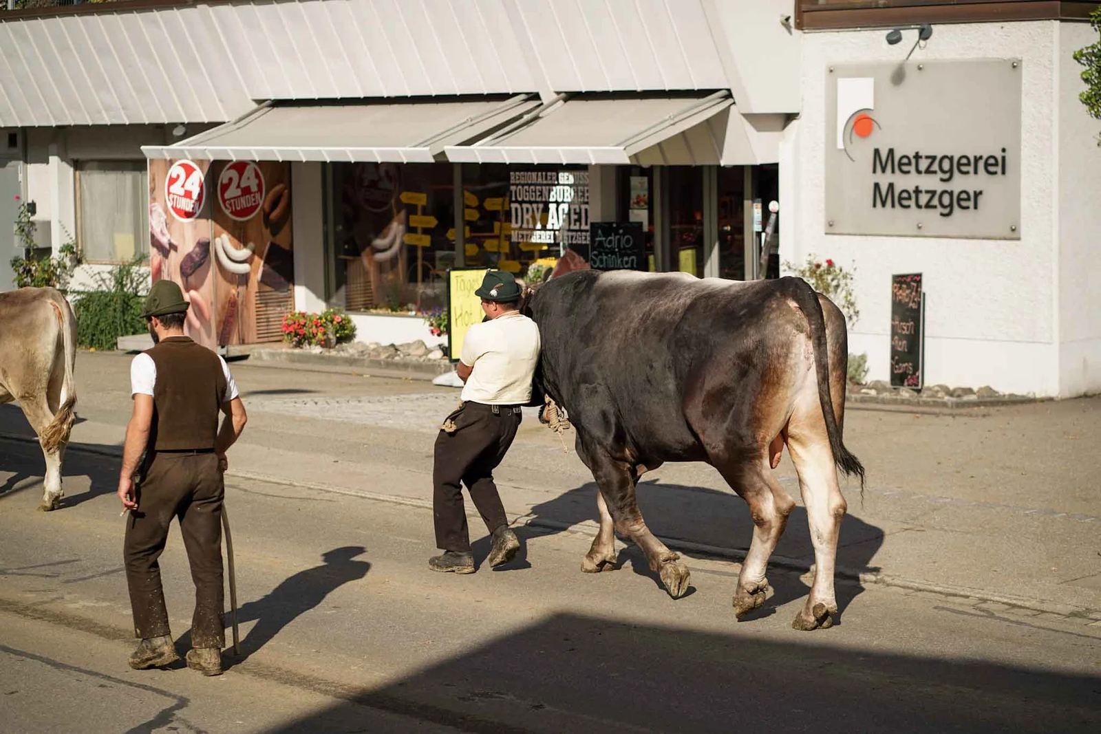 2024 Toggenburg Viehschau Archiv – Foto 54