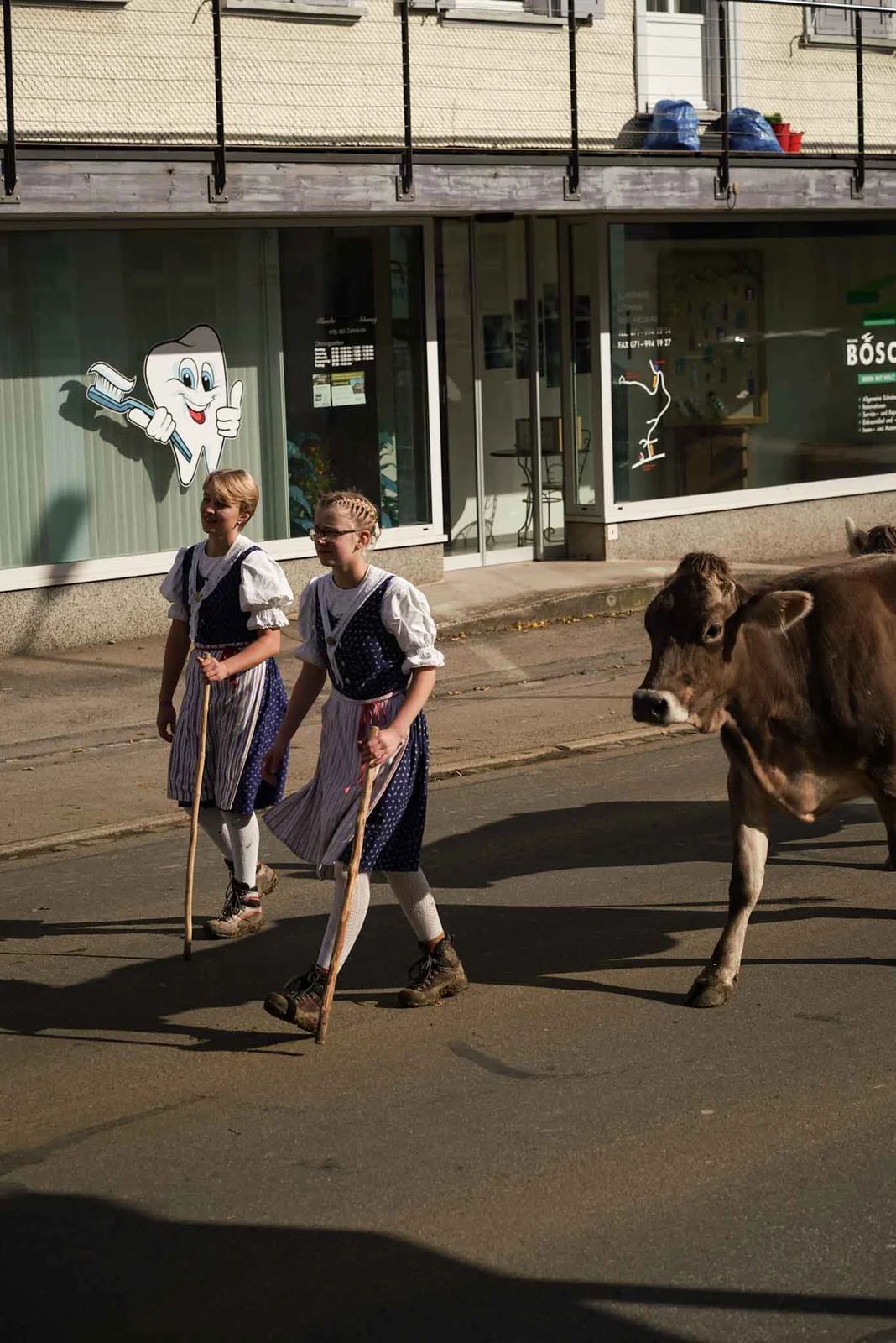 2024 Toggenburg Viehschau Archiv – Foto 57
