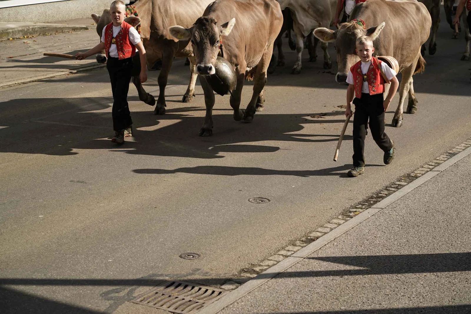 2024 Toggenburg Viehschau Archiv – Foto 58