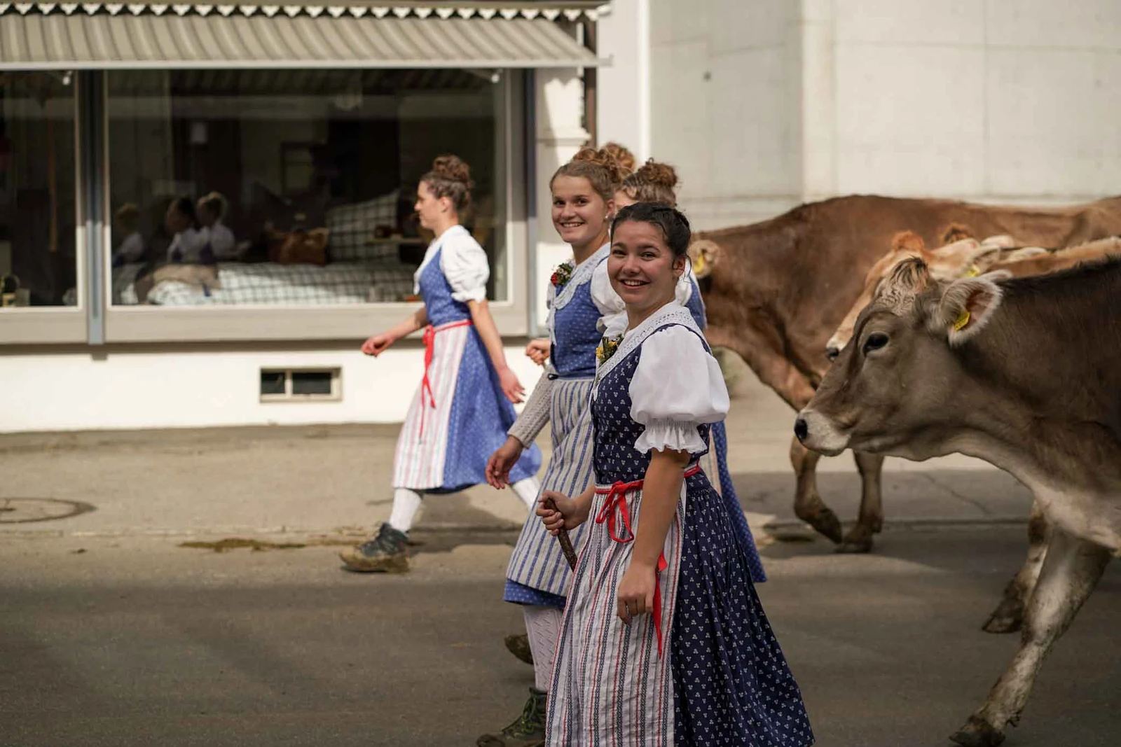 2024 Toggenburg Viehschau Archiv – Foto 62