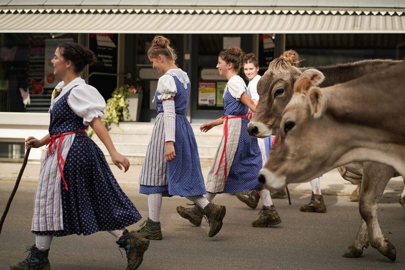 2024 Toggenburg Viehschau Archiv – Foto 65