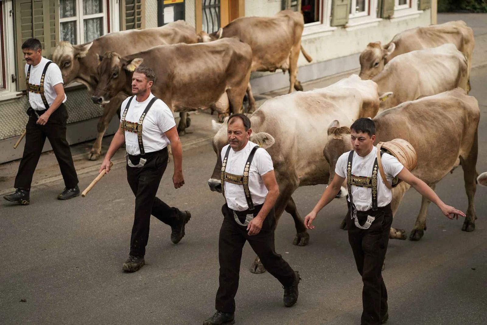 2024 Toggenburg Viehschau Archiv – Foto 71