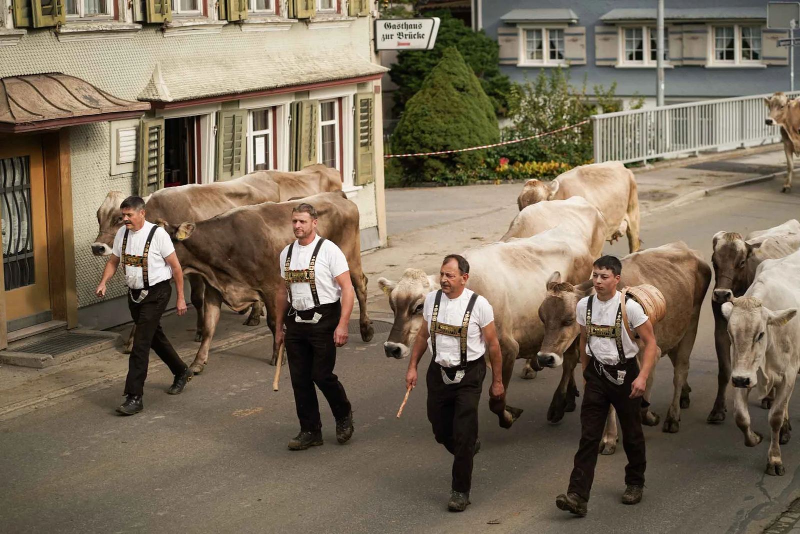 2024 Toggenburg Viehschau Archiv – Foto 74