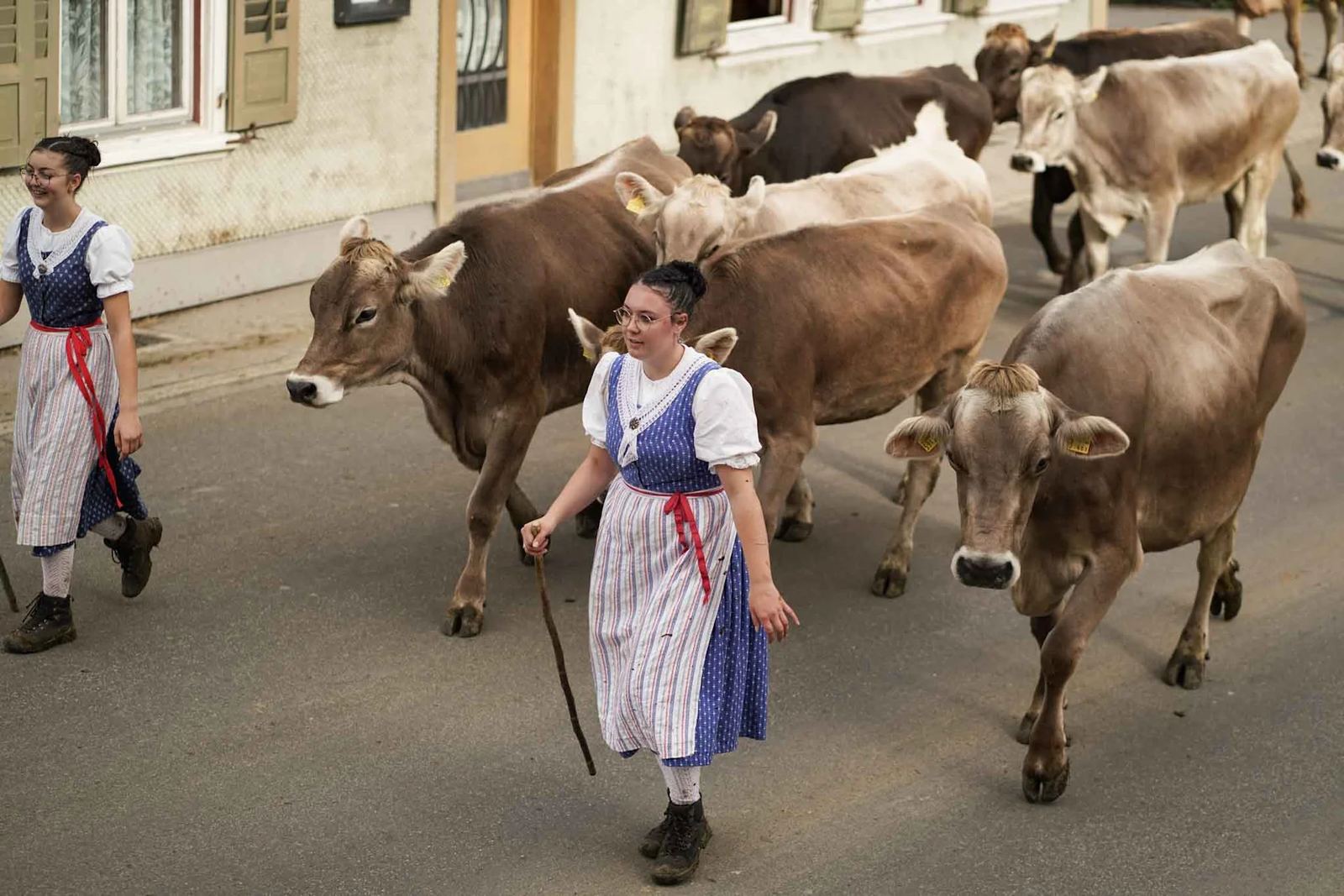 2024 Toggenburg Viehschau Archiv – Foto 75