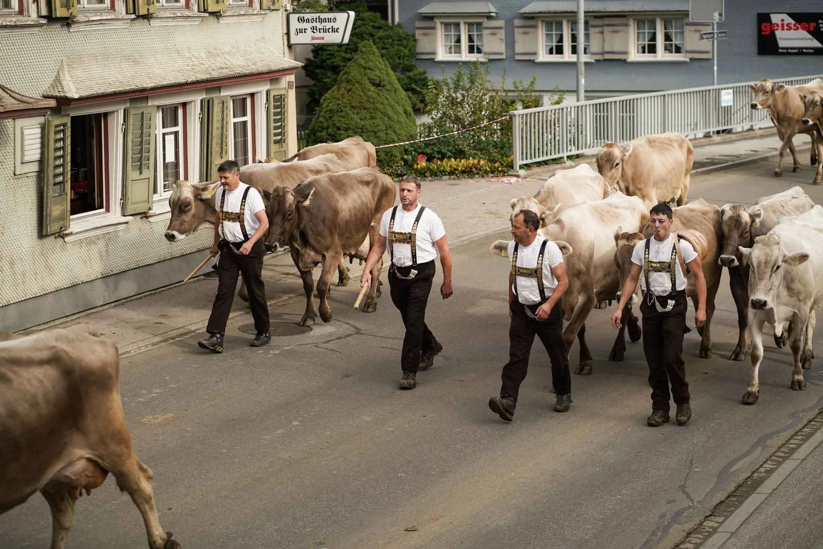 2024 Toggenburg Viehschau Archiv – Foto 78