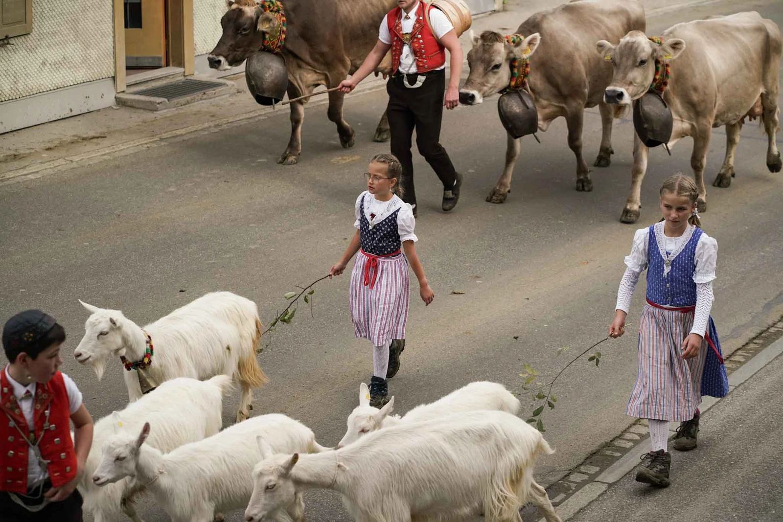 2024 Toggenburg Viehschau Archiv – Foto 81