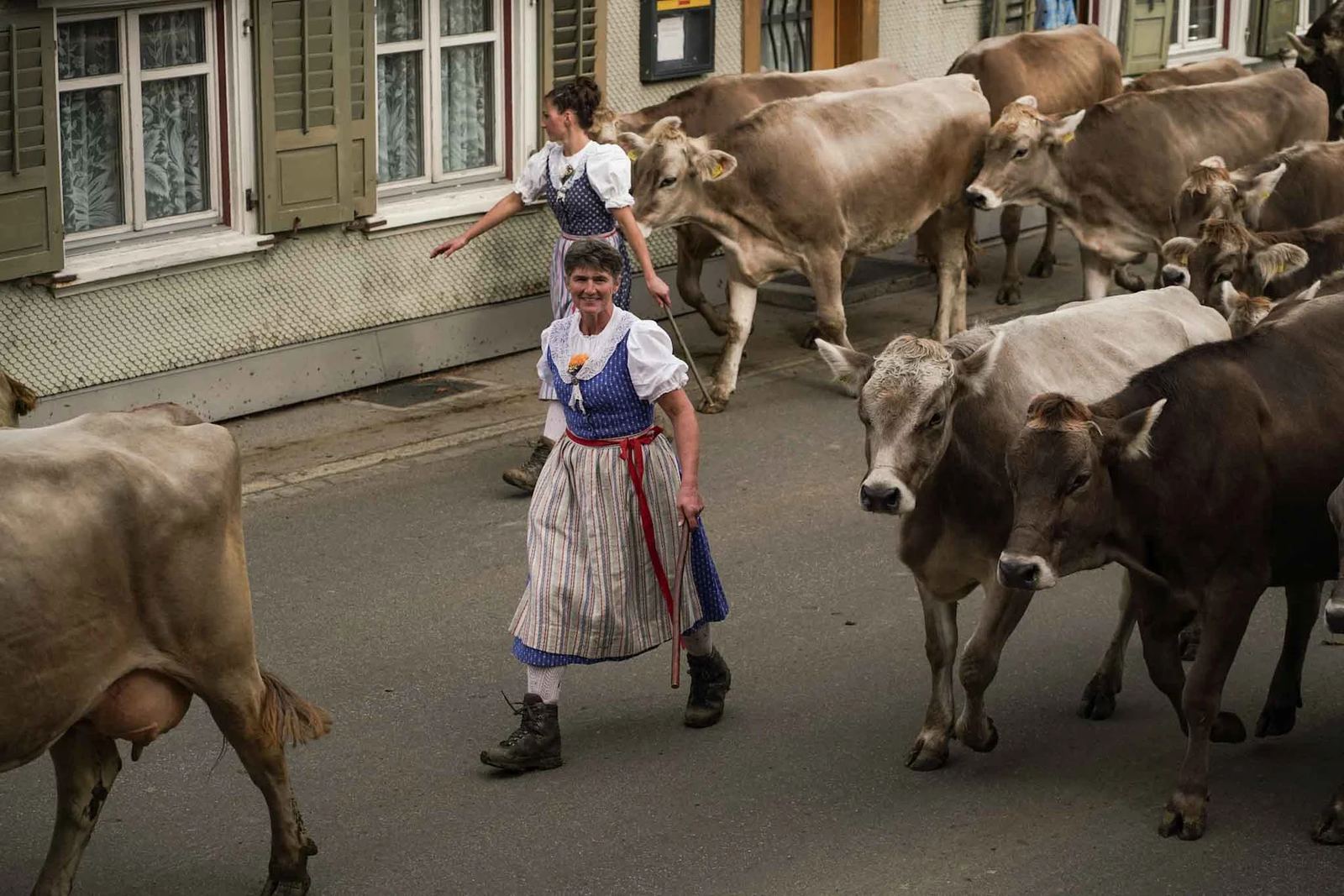 2024 Toggenburg Viehschau Archiv – Foto 82