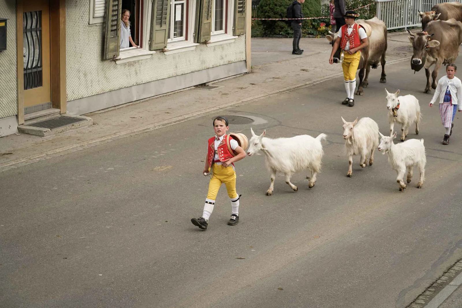 2024 Toggenburg Viehschau Archiv – Foto 86