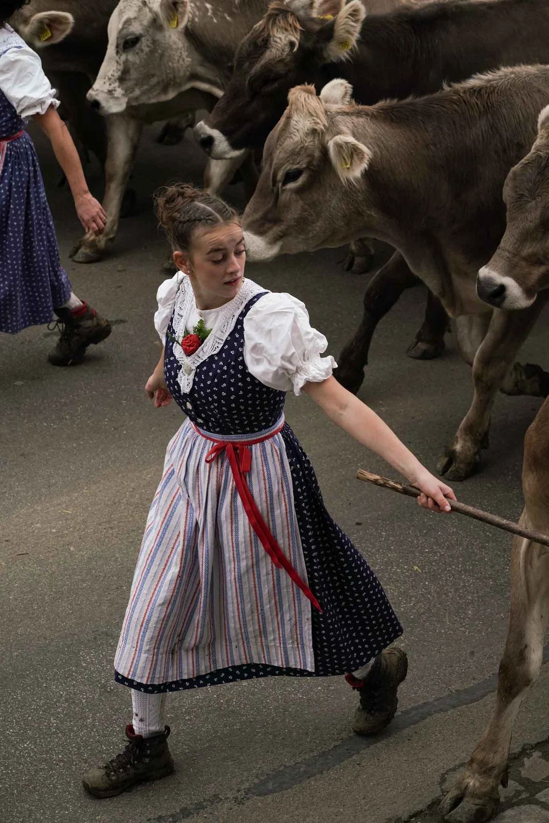 2024 Toggenburg Viehschau Archiv – Foto 90