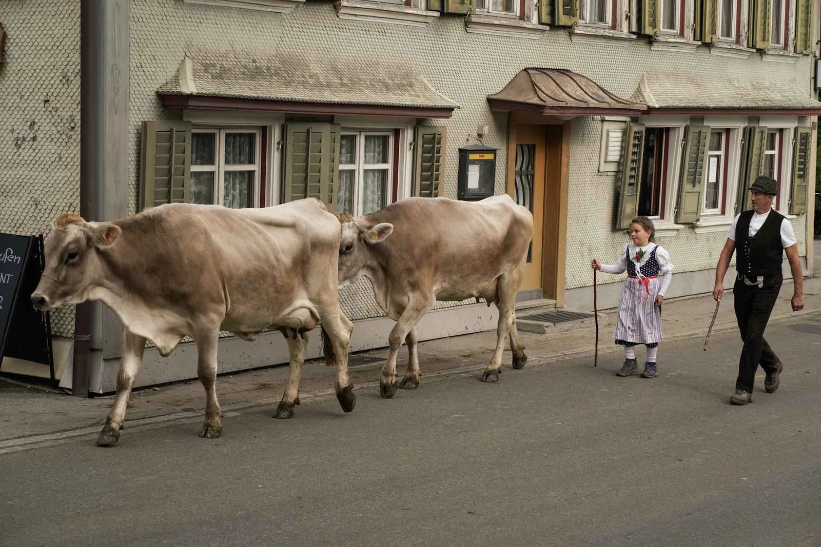 2024 Toggenburg Viehschau Archiv – Foto 91