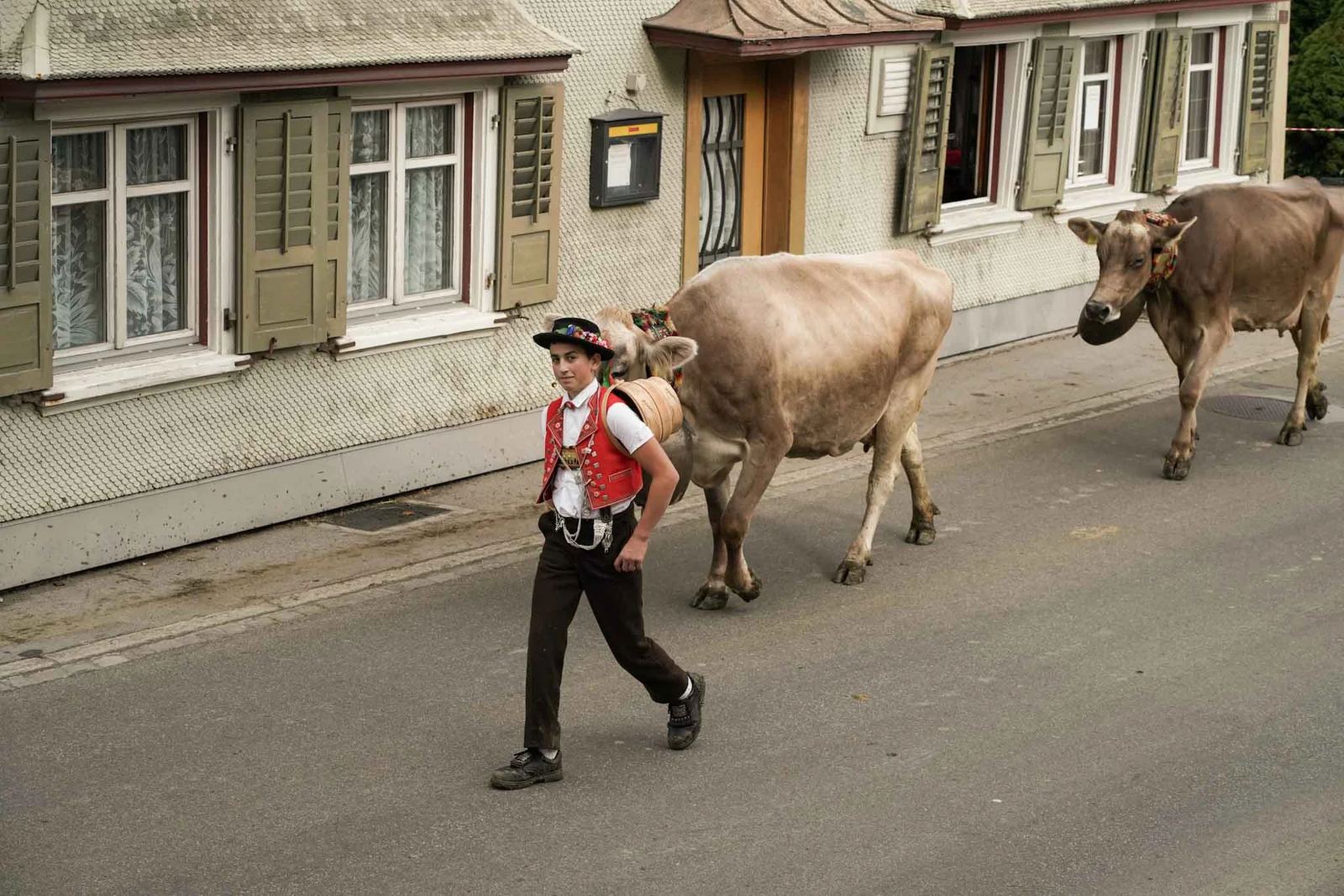 2024 Toggenburg Viehschau Archiv – Foto 92