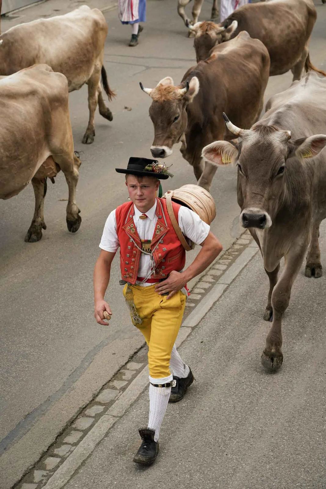2024 Toggenburg Viehschau Archiv – Foto 99