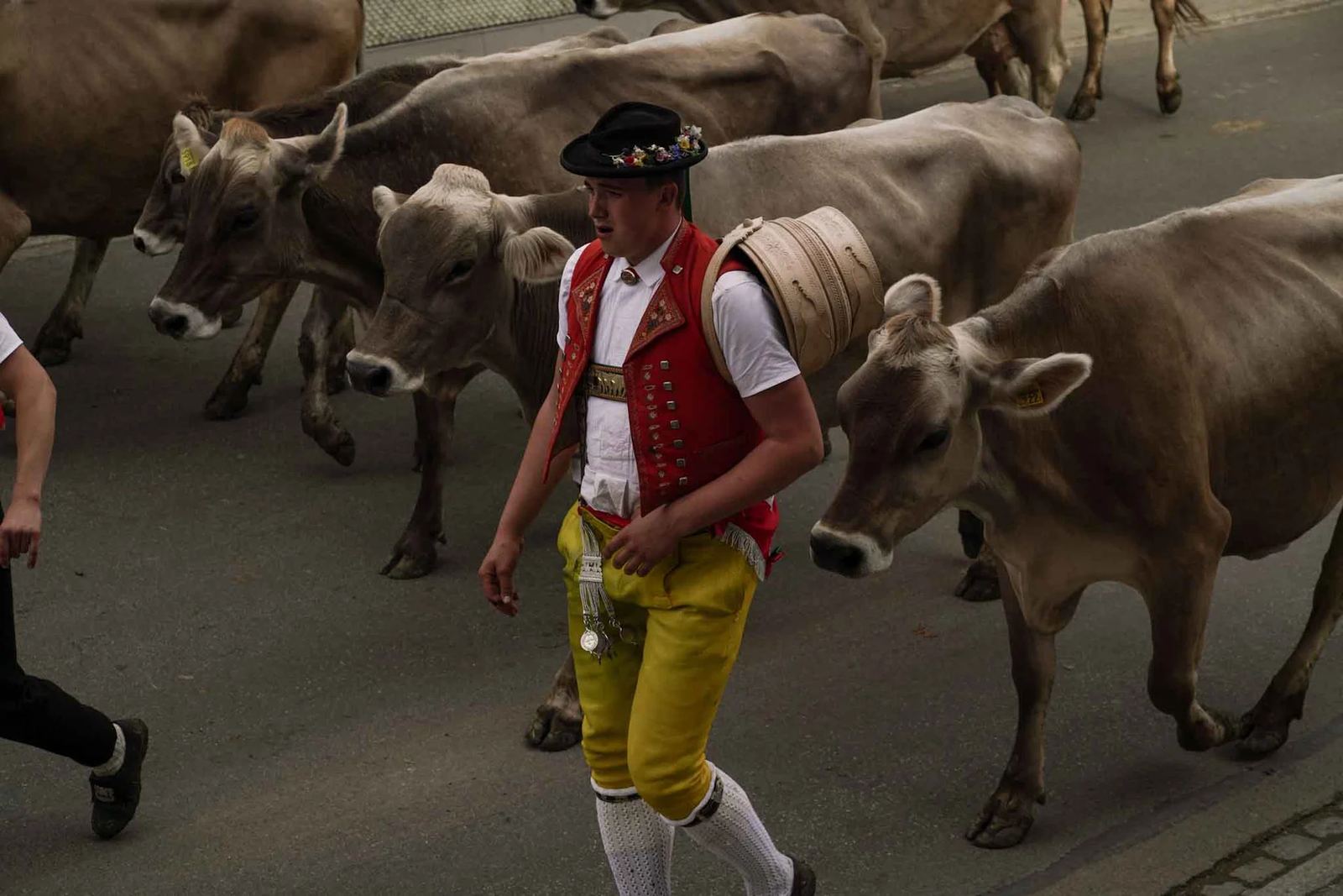 2024 Toggenburg Viehschau Archiv – Foto 114