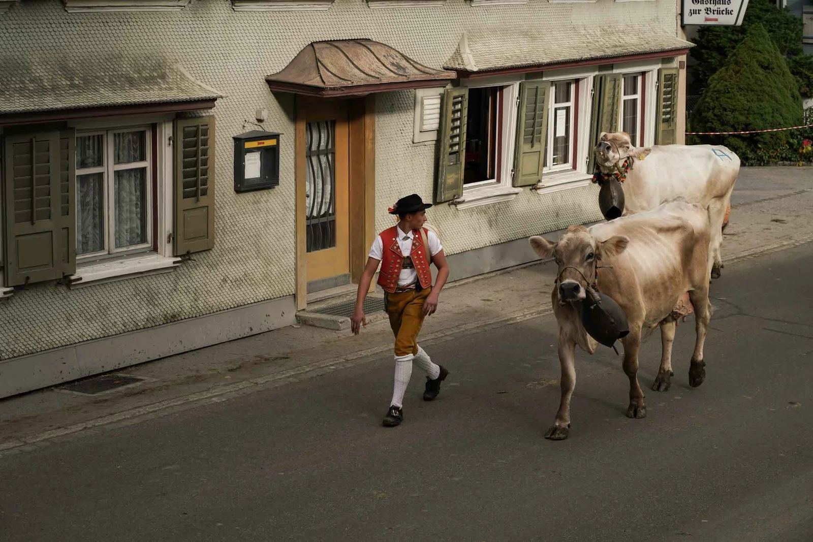 2024 Toggenburg Viehschau Archiv – Foto 115