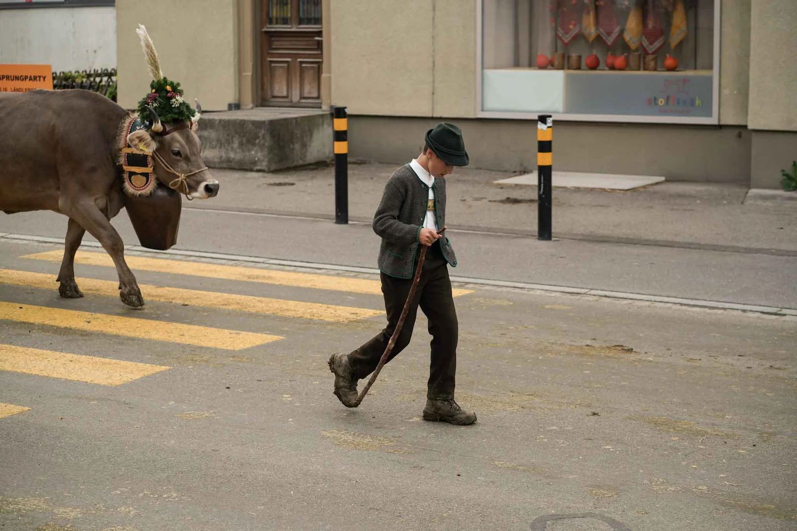 2024 Toggenburg Viehschau Archiv – Foto 137