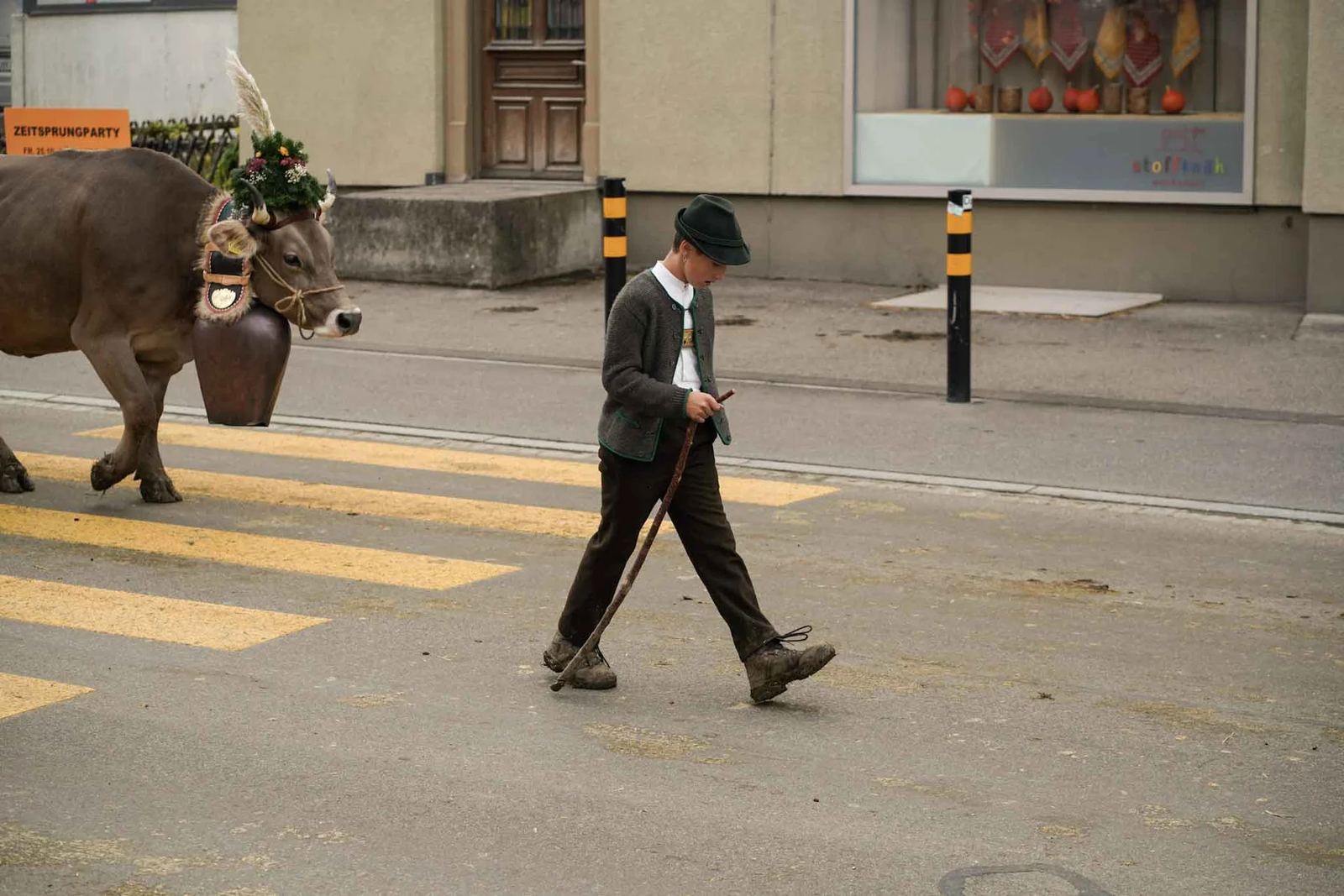 2024 Toggenburg Viehschau Archiv – Foto 138