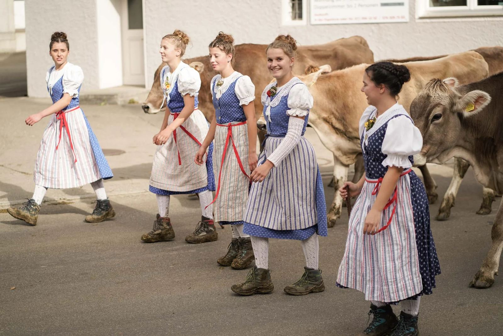 2024 Toggenburg Viehschau Archiv – Foto 151