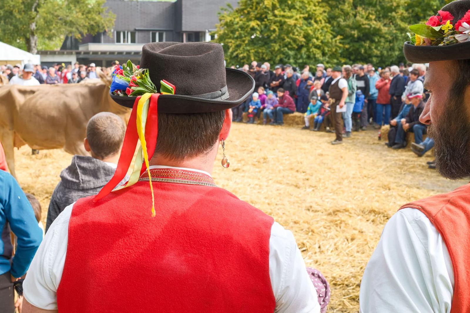 2025 Toggenburg Viehschau Archiv – Foto 6
