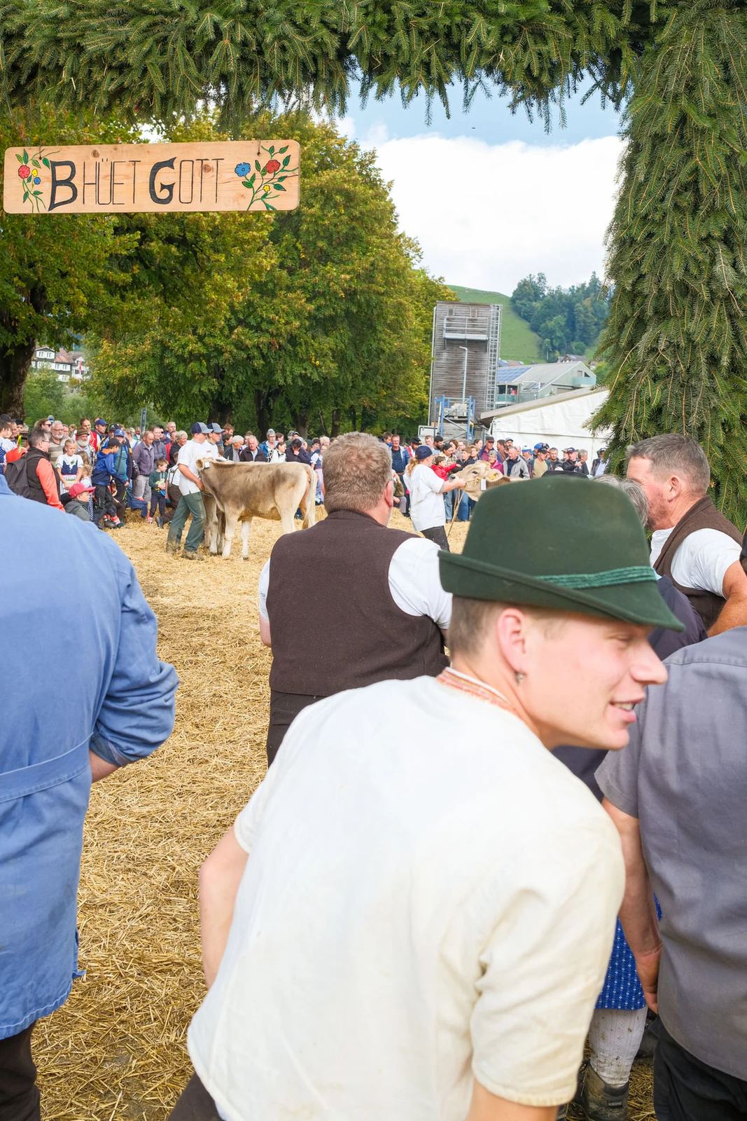 2025 Toggenburg Viehschau Archiv – Foto 13