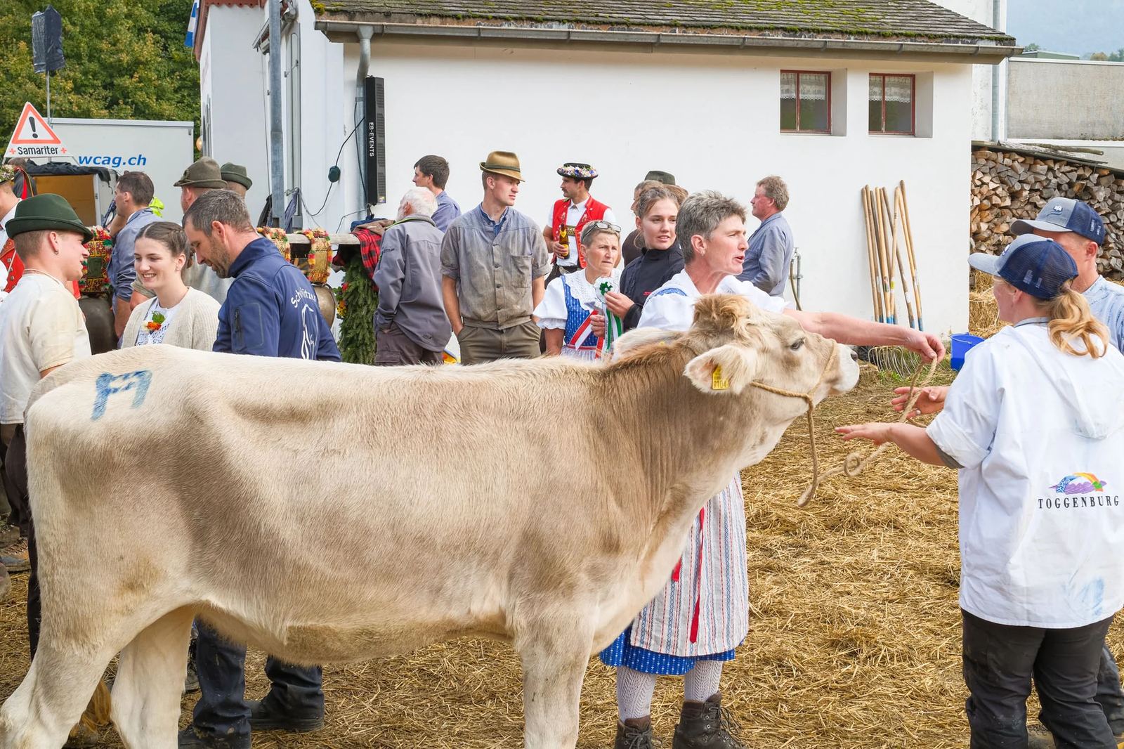 2025 Toggenburg Viehschau Archiv – Foto 15